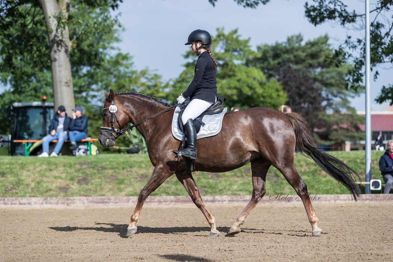 Bild 335 - Pony Akademie Turnier